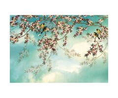 Komar Fotobehang 8-213 Sakura