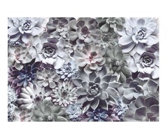 Komar Fotobehang 8-962 shades