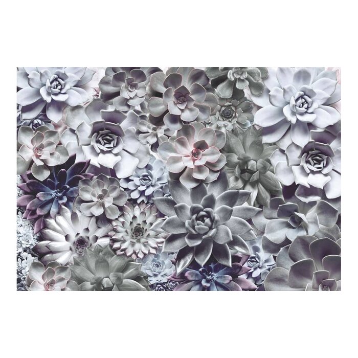 Komar Fotobehang 8-962 shades