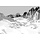 Fotobehang 8-208 Icefields