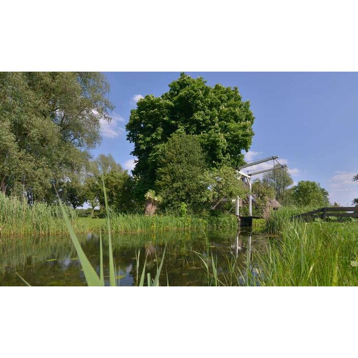 Noordwand  Holland Fotobehang Naardermeer Bruggetje 0937