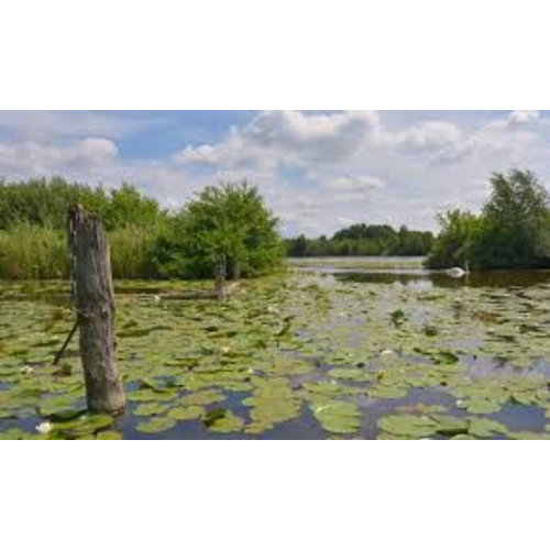 Noordwand Holland Fotobehang Loosdrecht II 4624 Noordwand Holland Fotobehang Loosdrecht II 4624
