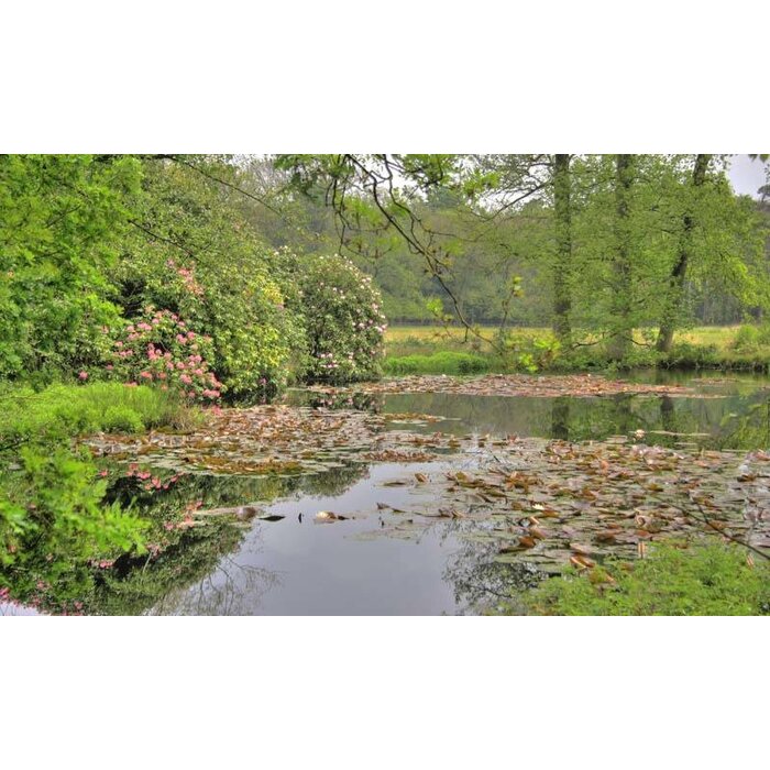Noordwand  Holland Fotobehang Hoge Veluwe vijver 7575