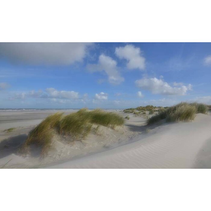 Noordwand   Holland Fotobehang Schiermonnikoog Duinen III 0510