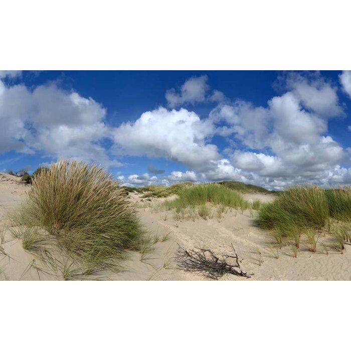 Noordwand  Holland Fotobehang Noordwijk Duinlandschap 1434