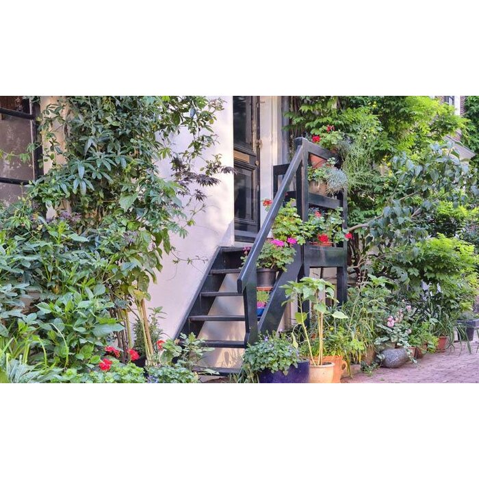 Noordwand  Holland Fotobehang Amsterdam 4706