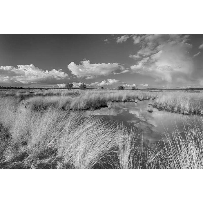 Noordwand  Holland Fotobehang Veluwe 0693
