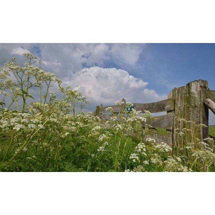 Noordwand  Holland Fotobehang Eemland Boerenhek 9331
