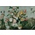 Painted Memories Mural Flowers 8006