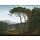 Painted Memories Mural Italian Landscape 8009