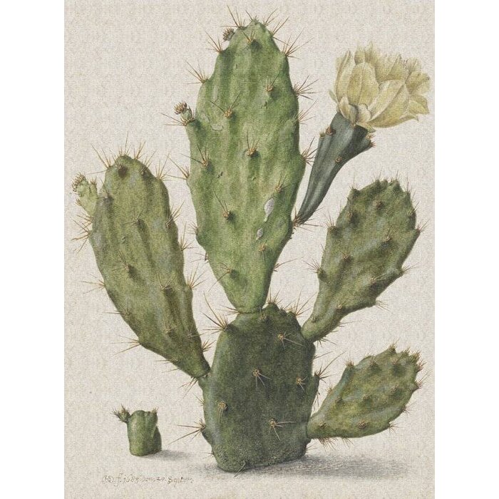 Dutch Painted Memories Mural Blooming Cactus 8013