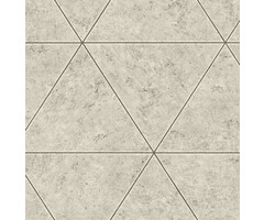 Dutch Dutch Restored Polished Concrete behang 24014