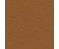 Dutch Dutch Beaux Arts II Brown Tecture BA220076