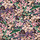 Dutch Wallcovering Beaux Arts II Floral Purple Behang BA220024