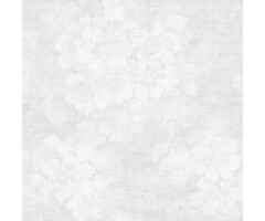 Noordwand  atmosphere