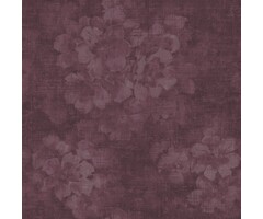 Noordwand  atmosphere