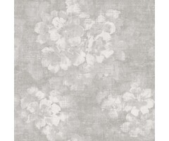 Noordwand  atmosphere