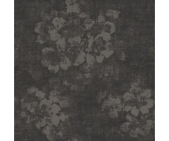 Noordwand  atmosphere