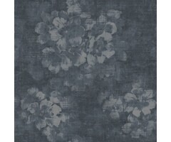 Noordwand  atmosphere