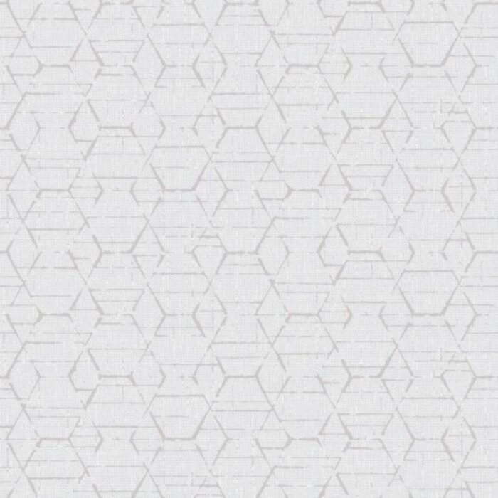 Noordwand  Behang met grafische hexagons  G78248