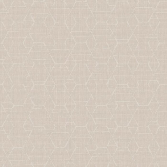 Noordwand  Behang met grafische hexagonsG78246