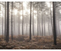 Noordwand  atmosphere