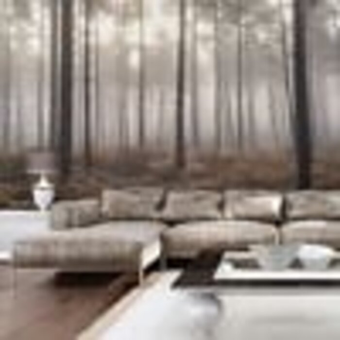 Noordwand  Fotobehang met bos in de mist  G78426