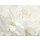 Fotobehang met grote witte bloem Artikelnummer: G78424