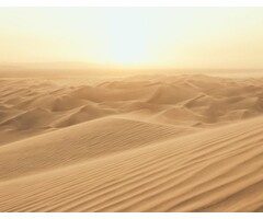 Noordwand  atmosphere