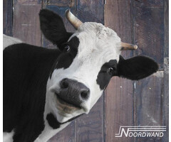 Noordwand  Farmlife