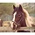 Behangposter paard: 3750062