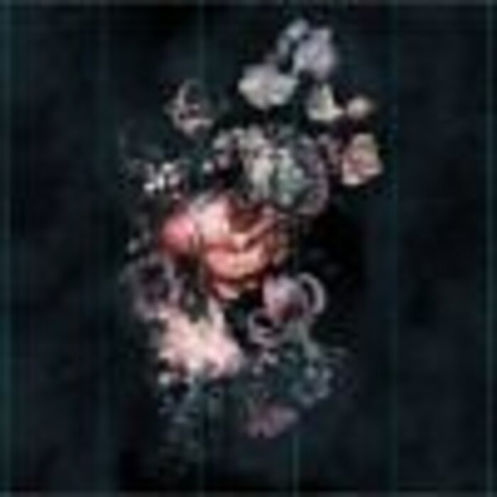 Noordwand  Fotobehang bloemen op zwarte achtergrond 42040