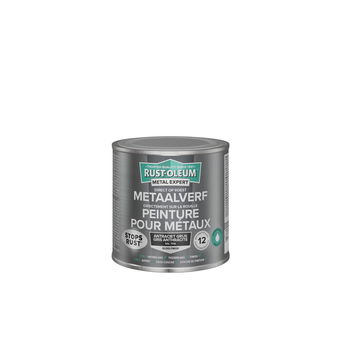 Rust-oleum Rust-Oleum Metaalverf Hoogglans 250 ml (Waterbasis)