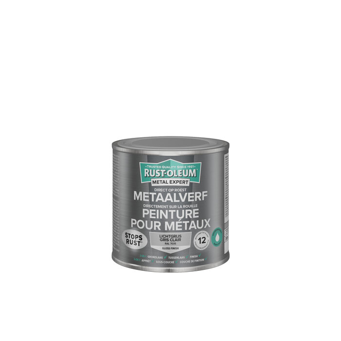 Rust-oleum Rust-Oleum Metaalverf Hoogglans 250 ml (Waterbasis)