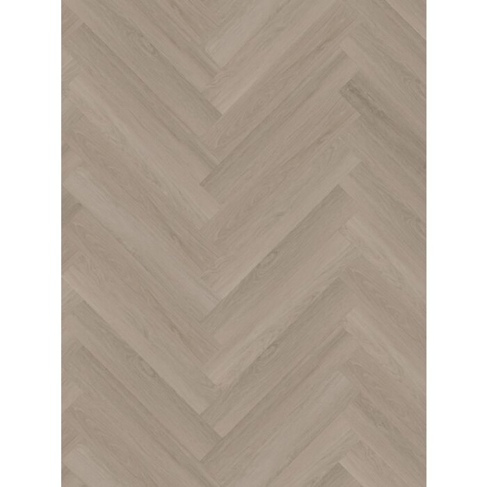 Briljant Visgraat orchide 60014