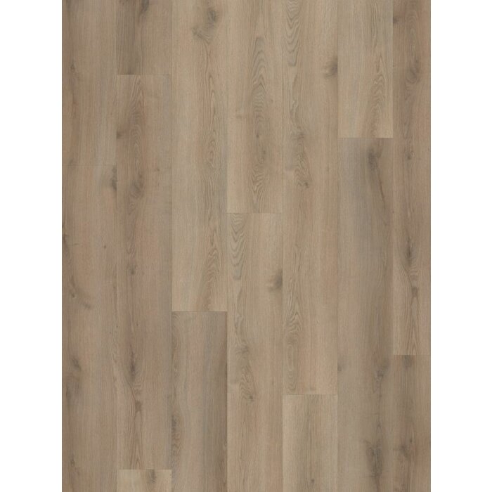 Hoomlinestilleven van gogh 230