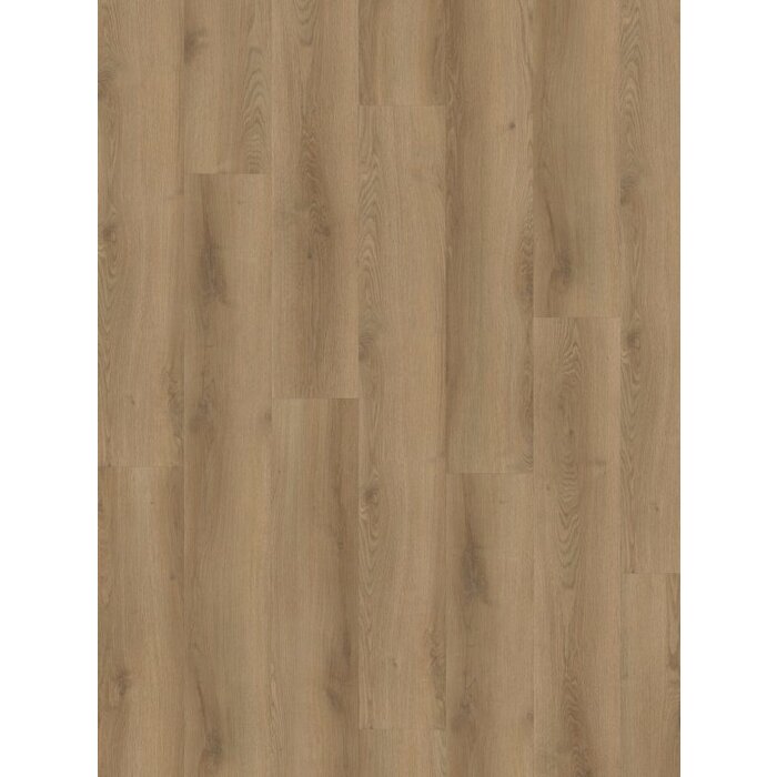 Hoomlinestilleven Cuip 826