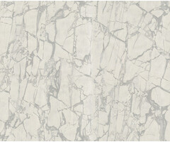 Carrara 3 nr84607