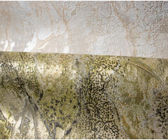 Carrara 3 nr84623