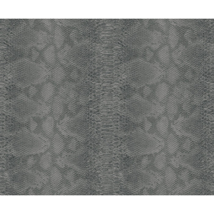 Carl Robinson 17 CR80400