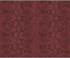 Carl Robinson 17 CR80401