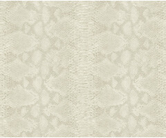 Carl Robinson 17 CR80410