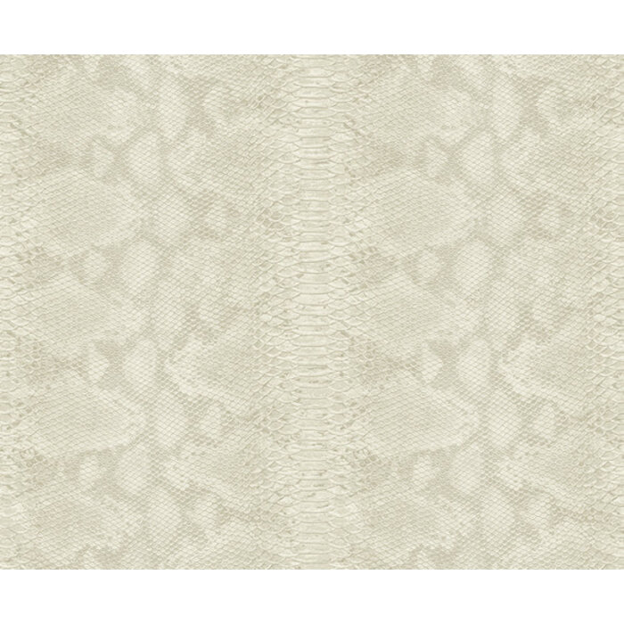 Carl Robinson 17 CR80410