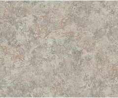 Carl Robinson 17 CR80501