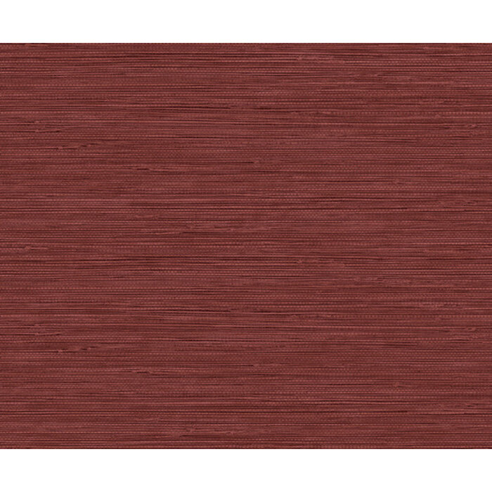 Carl Robinson 17 CR80801