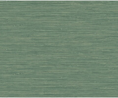 Carl Robinson 17 CR80804