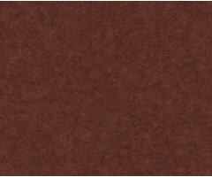 Carl Robinson 17 CR81201