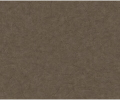 Carl Robinson 17 CR81216