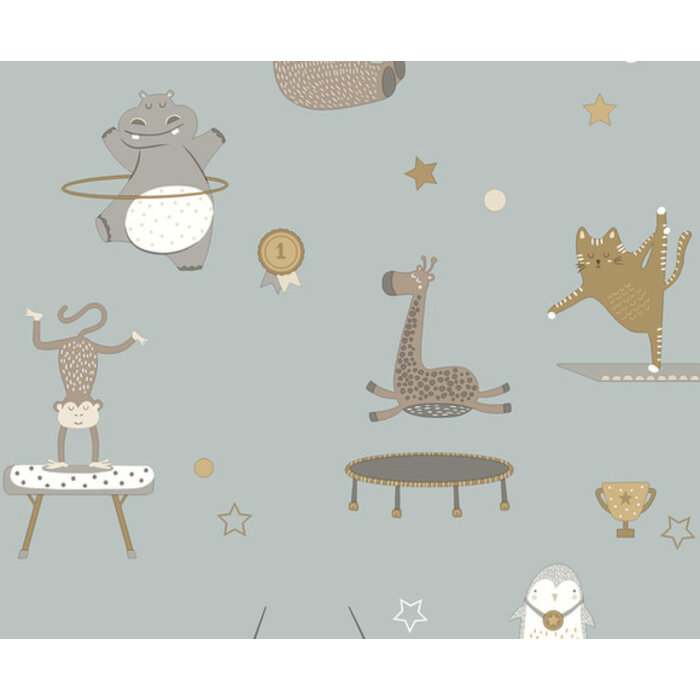 Dream Catcher 13342