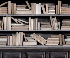 Mural Books 159x280cm